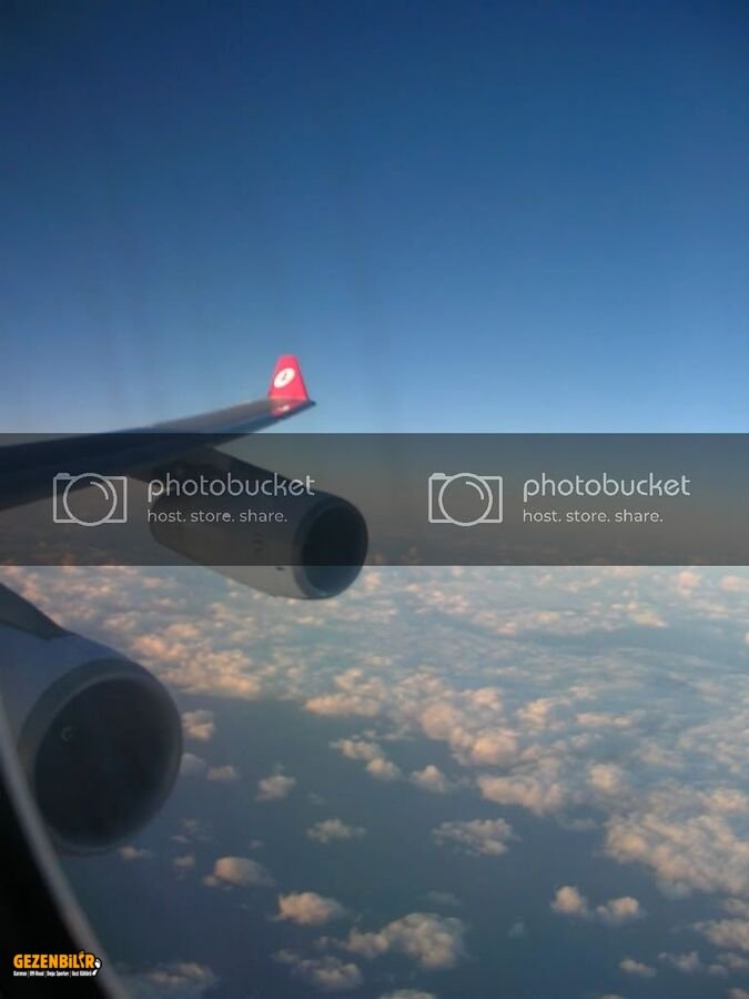 DSCN8979.jpg