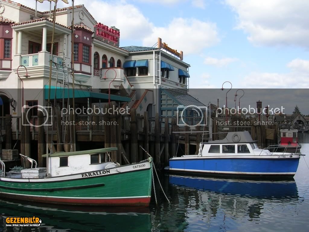 DSCN9141.jpg