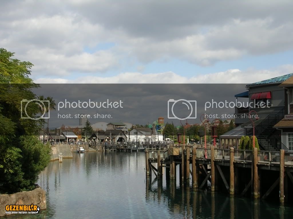 DSCN9145.jpg