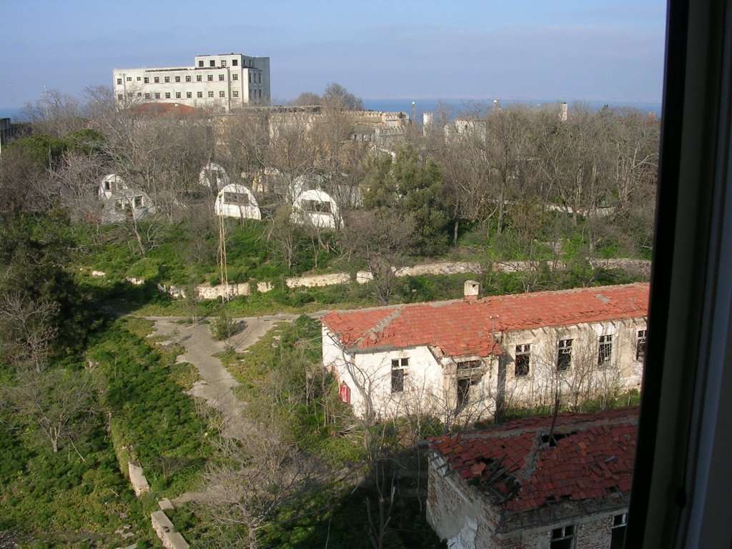 DSCN9541.JPG