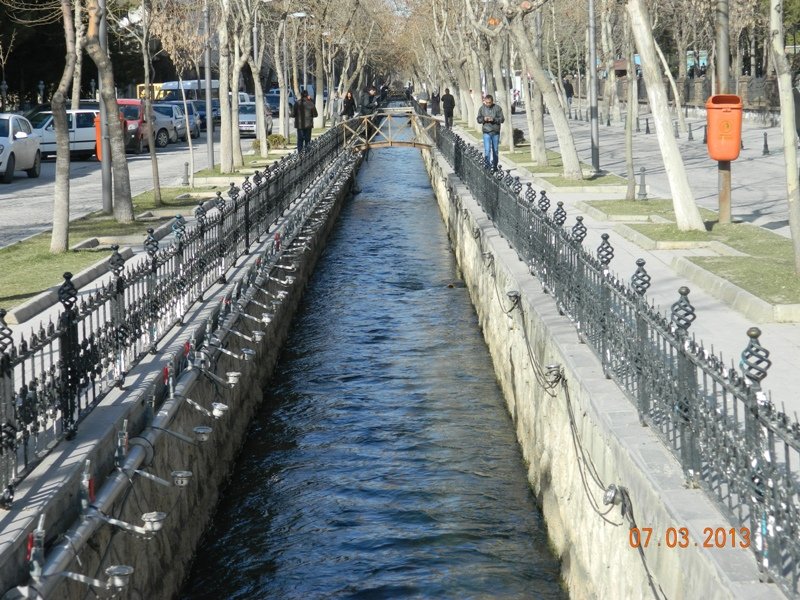 DSCN9553.JPG