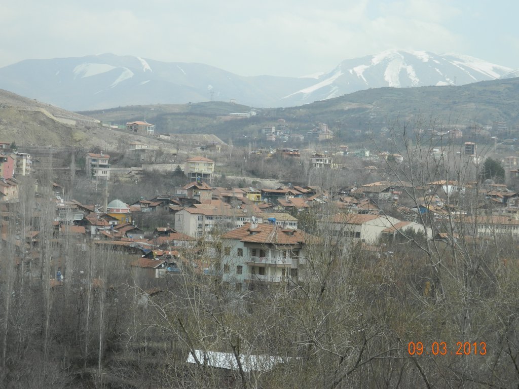 DSCN9831.JPG