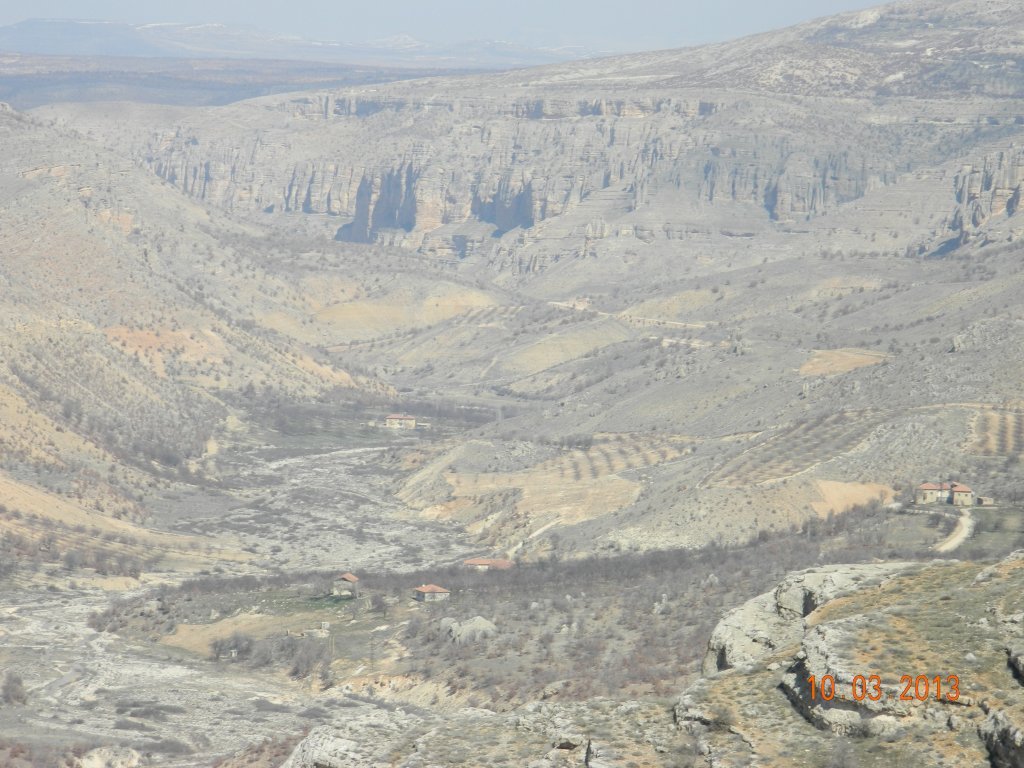 DSCN9890.JPG