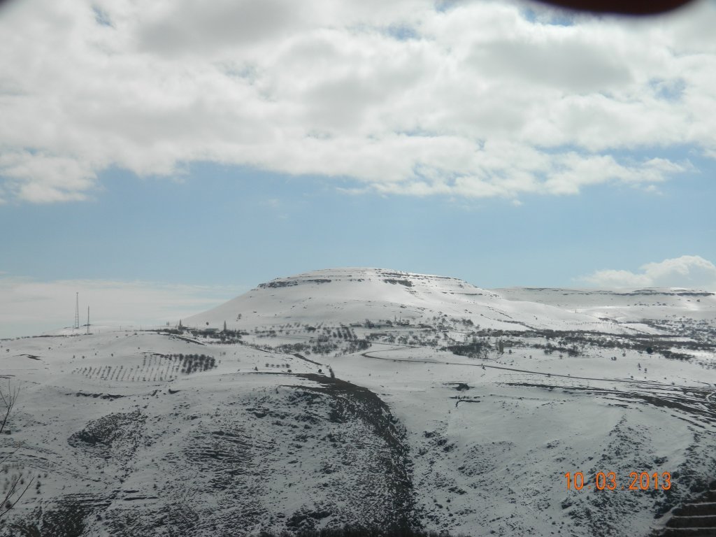 DSCN9911.JPG
