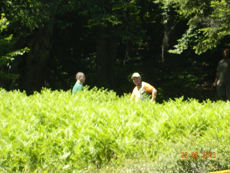 DSCN9928.JPG