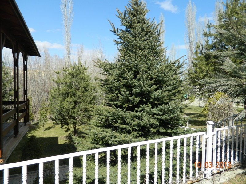 DSCN9956.JPG