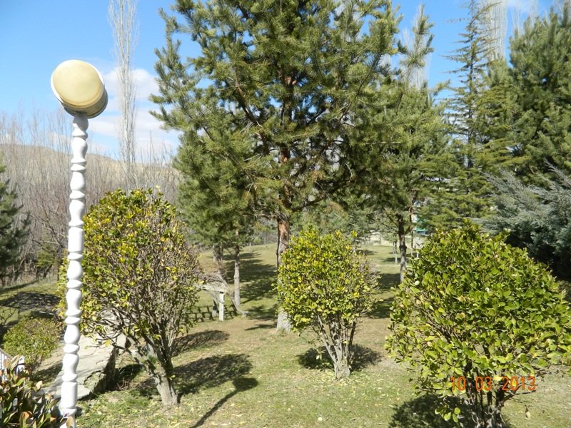 DSCN9957.JPG