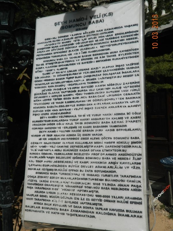 DSCN9966.JPG