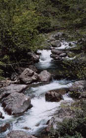 dÜZCE-4.jpg