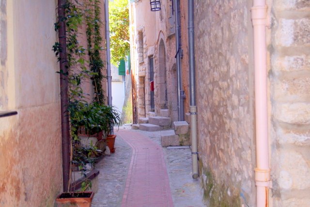 e14.jpg