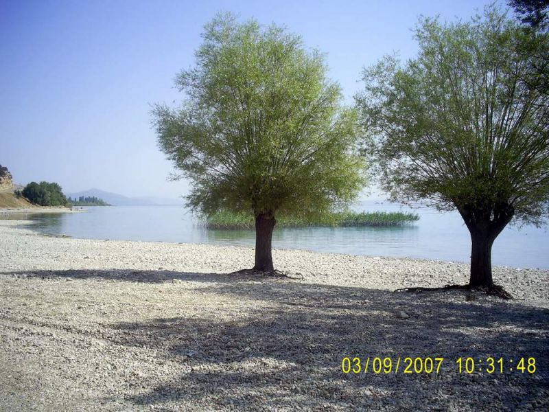 EÃƒÂƒÃ‚Â„ÃƒÂ‚Ã‚ÂŸirdir01.jpg
