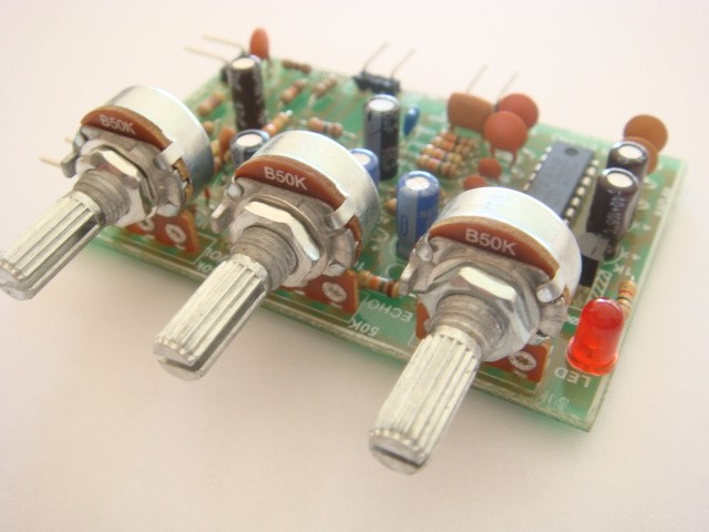 echo eko seslendirme.JPG