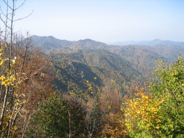 ekim yedigÃƒÂƒÃ‚ÂƒÃƒÂ‚Ã‚Â¶ller -ferdaneden.jpg