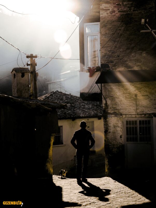 Ekran Resmi 2015-01-02 9.49.52 AM.jpg