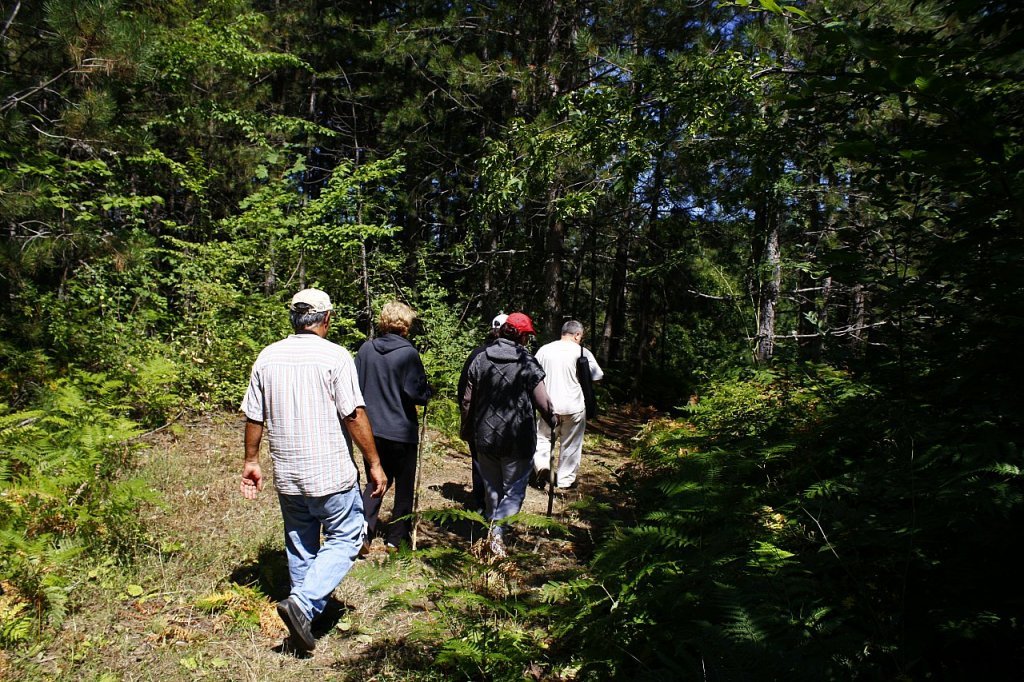 elaleye yÃƒÂƒÃ‚ÂƒÃƒÂ‚Ã‚Â¼rÃƒÂƒÃ‚ÂƒÃƒÂ‚Ã‚Â¼yÃƒÂƒÃ‚ÂƒÃƒÂ‚Ã‚Â¼ÃƒÂƒÃ‚Â…ÃƒÂ‚Ã‚ÂŸ1.jpg