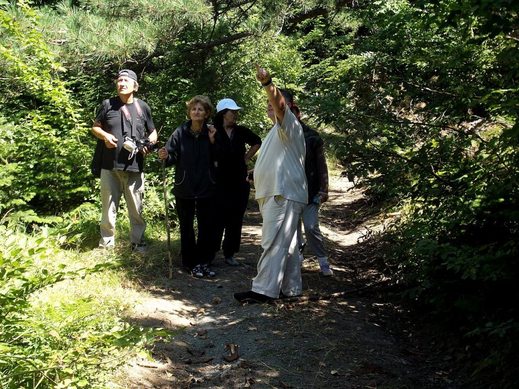 elaleye yÃƒÂƒÃ‚ÂƒÃƒÂ‚Ã‚Â¼rÃƒÂƒÃ‚ÂƒÃƒÂ‚Ã‚Â¼yÃƒÂƒÃ‚ÂƒÃƒÂ‚Ã‚Â¼ÃƒÂƒÃ‚Â…ÃƒÂ‚Ã‚ÂŸ4.jpg