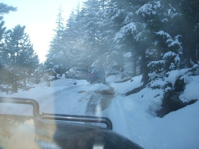 ElmalÃƒÂƒÃ‚Â„ÃƒÂ‚Ã‚Â± (25.12.11) (123).JPG