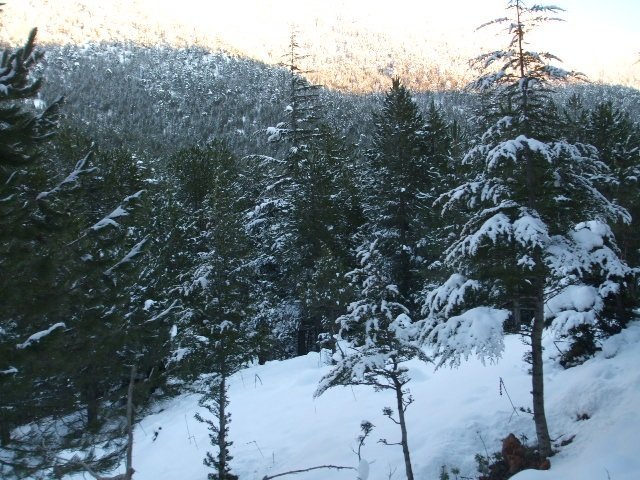 ElmalÃƒÂƒÃ‚Â„ÃƒÂ‚Ã‚Â± (25.12.11) (124).JPG