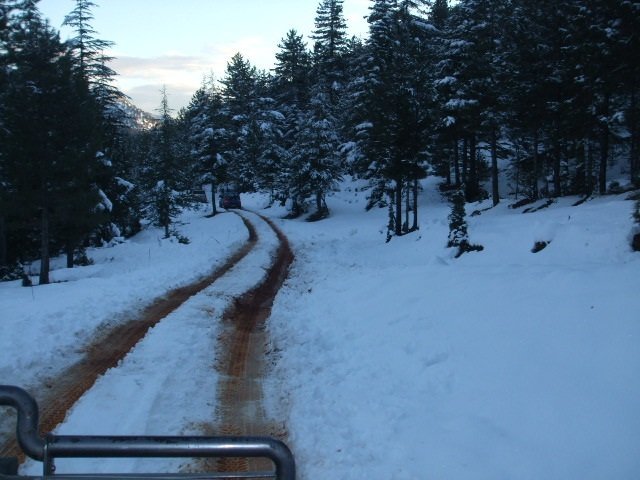 ElmalÃƒÂƒÃ‚Â„ÃƒÂ‚Ã‚Â± (25.12.11) (126).JPG