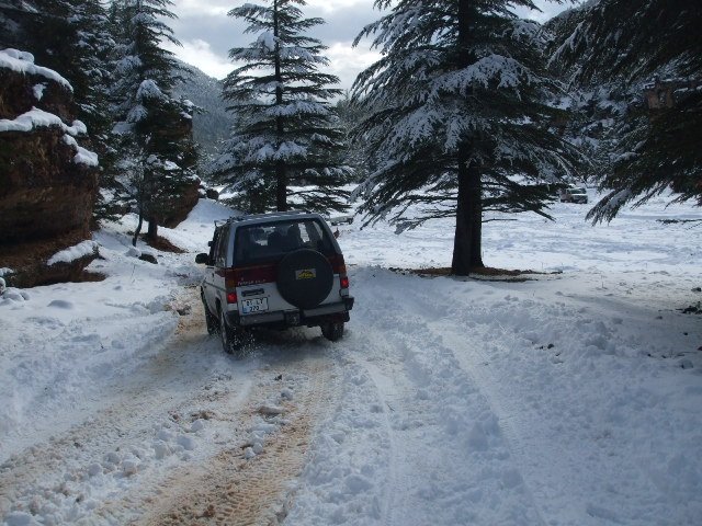 ElmalÃƒÂƒÃ‚Â„ÃƒÂ‚Ã‚Â± (25.12.11) (22).JPG