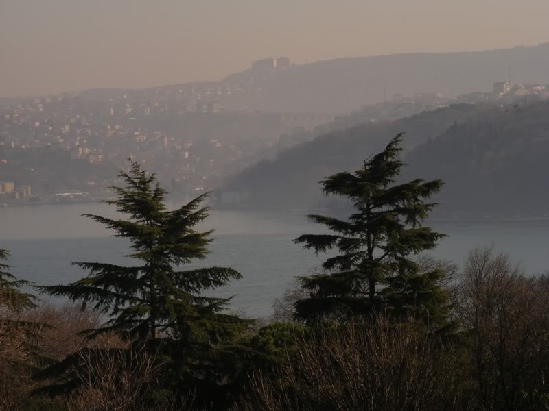 emirgan.jpg