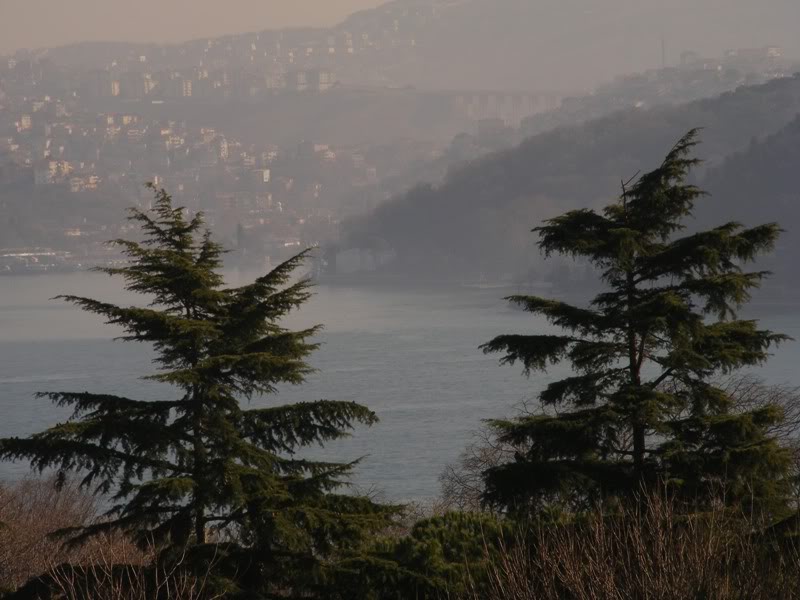 emirgan1.jpg