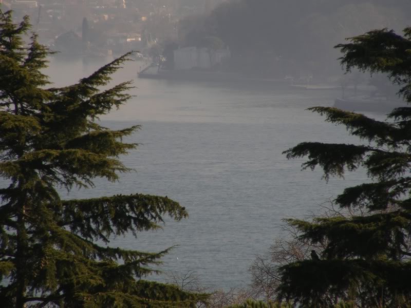 emirgan4.jpg