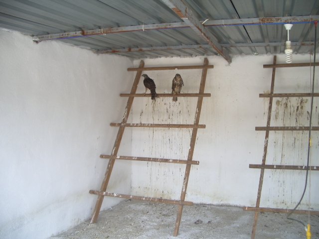 ERDEK 23 NÃƒÂƒÃ‚Â„ÃƒÂ‚Ã‚Â°SAN BULUÃƒÂƒÃ‚Â…ÃƒÂ‚Ã‚ÂžMASI 032.JPG