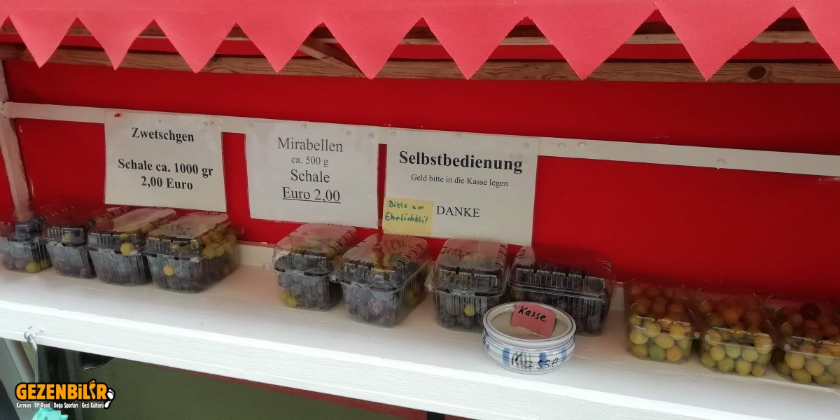 Erikler.jpg