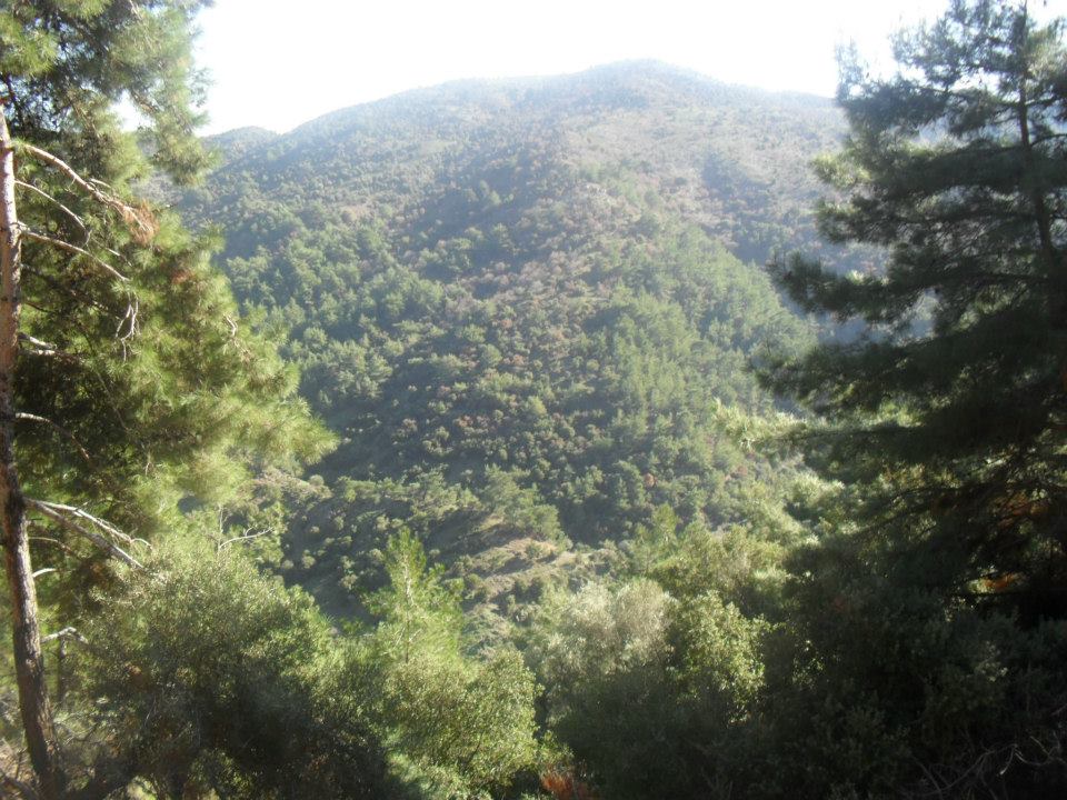 Ertan AÃƒÂƒÃ‚Â„ÃƒÂ‚Ã‚ÂŸabeyden Uzundere 011.jpg