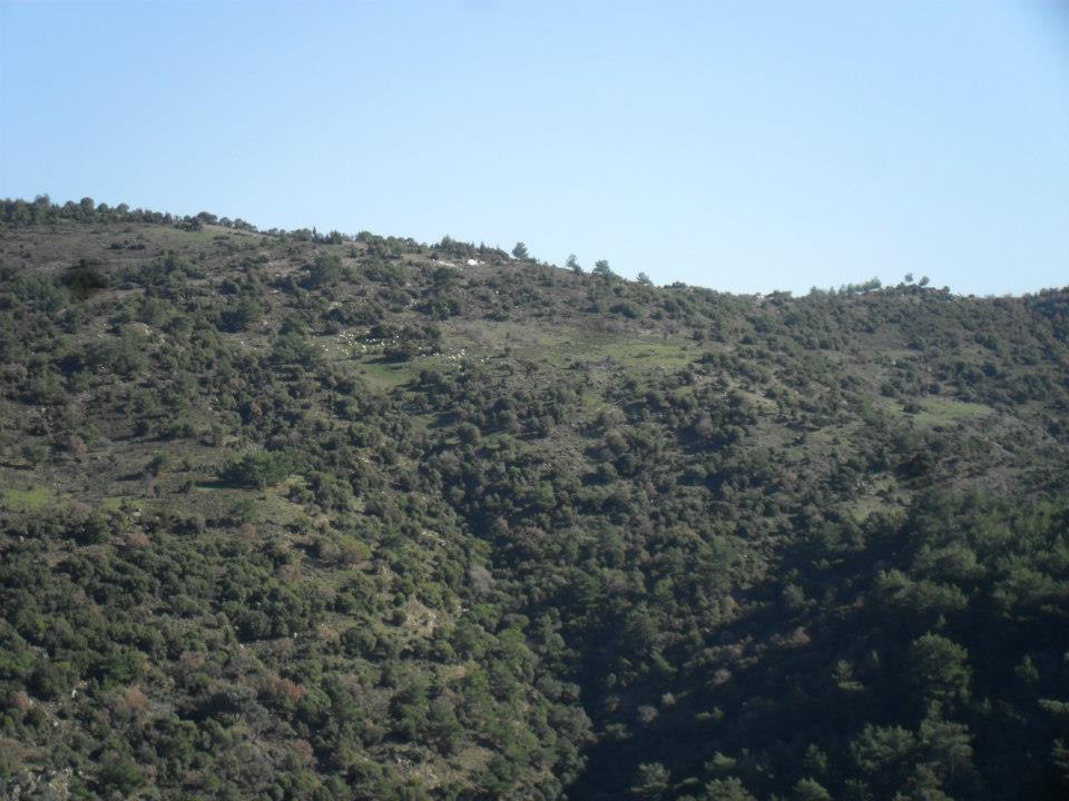 Ertan AÃƒÂƒÃ‚Â„ÃƒÂ‚Ã‚ÂŸabeyden Uzundere 015.jpg