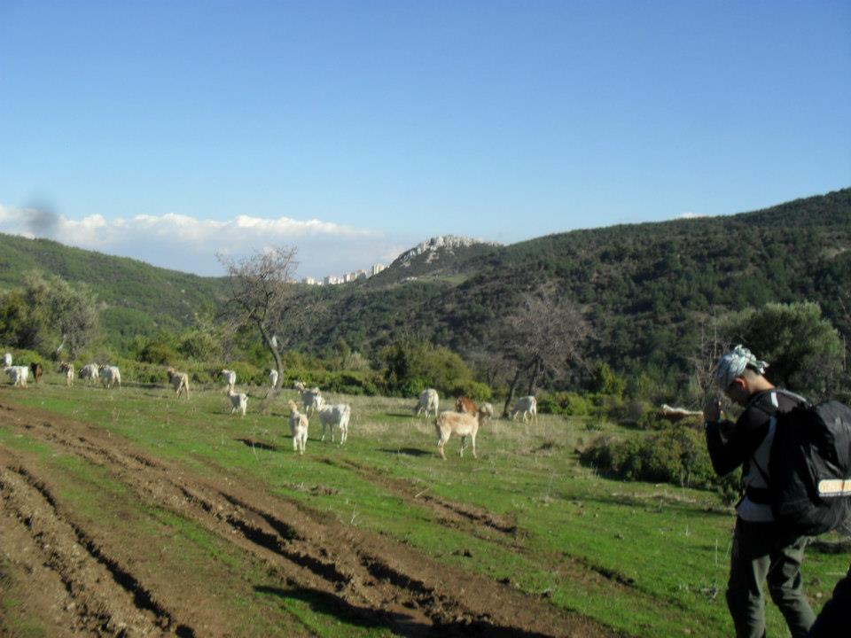 Ertan AÃƒÂƒÃ‚Â„ÃƒÂ‚Ã‚ÂŸabeyden Uzundere 020.jpg