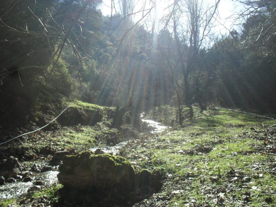 Ertan AÃƒÂƒÃ‚Â„ÃƒÂ‚Ã‚ÂŸabeyden Uzundere 024.jpg