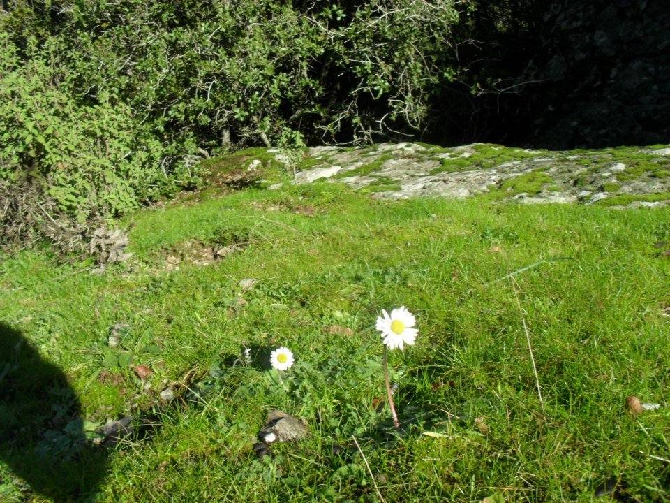 Ertan AÃƒÂƒÃ‚Â„ÃƒÂ‚Ã‚ÂŸabeyden Uzundere 030.jpg