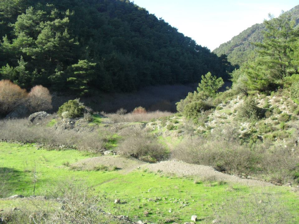 Ertan AÃƒÂƒÃ‚Â„ÃƒÂ‚Ã‚ÂŸabeyden Uzundere 031.jpg