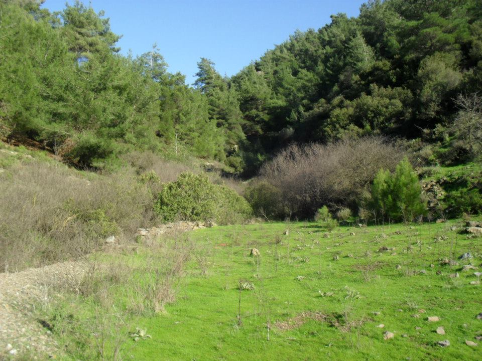 Ertan AÃƒÂƒÃ‚Â„ÃƒÂ‚Ã‚ÂŸabeyden Uzundere 032.jpg