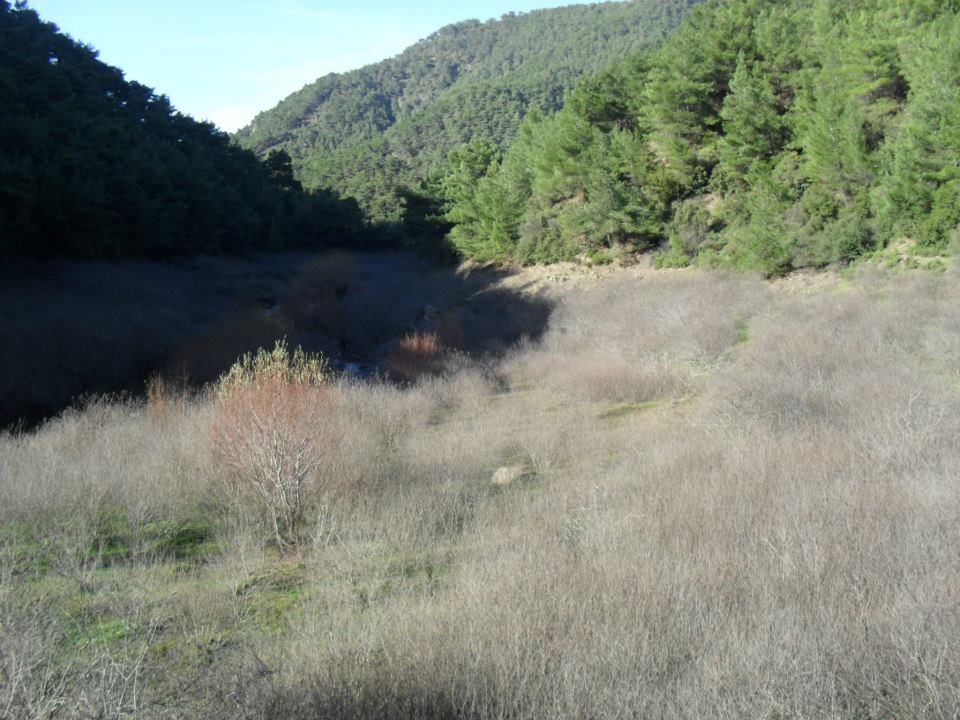 Ertan AÃƒÂƒÃ‚Â„ÃƒÂ‚Ã‚ÂŸabeyden Uzundere 033.jpg