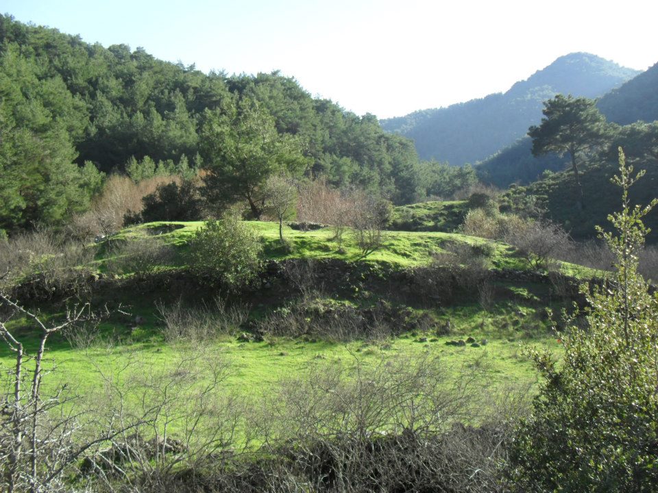 Ertan AÃƒÂƒÃ‚Â„ÃƒÂ‚Ã‚ÂŸabeyden Uzundere 034.jpg