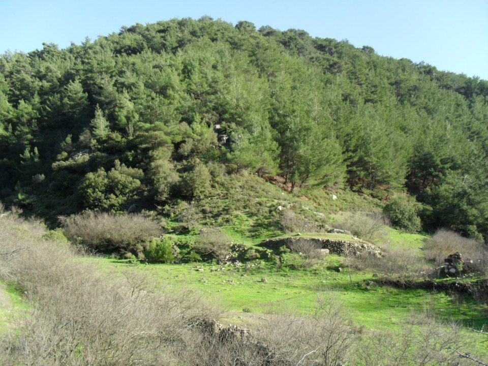 Ertan AÃƒÂƒÃ‚Â„ÃƒÂ‚Ã‚ÂŸabeyden Uzundere 035.jpg