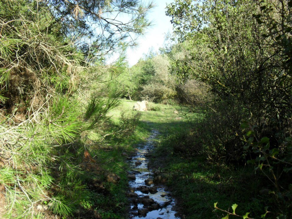 Ertan AÃƒÂƒÃ‚Â„ÃƒÂ‚Ã‚ÂŸabeyden Uzundere 036.jpg