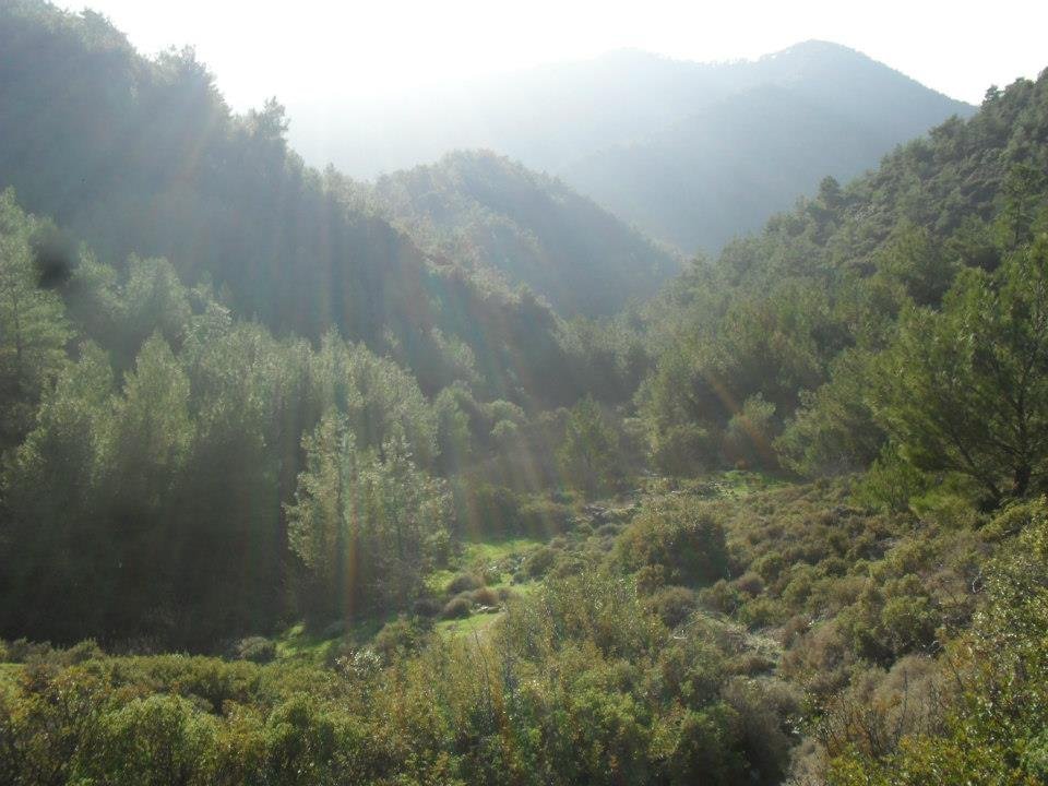 Ertan AÃƒÂƒÃ‚Â„ÃƒÂ‚Ã‚ÂŸabeyden Uzundere 037.jpg