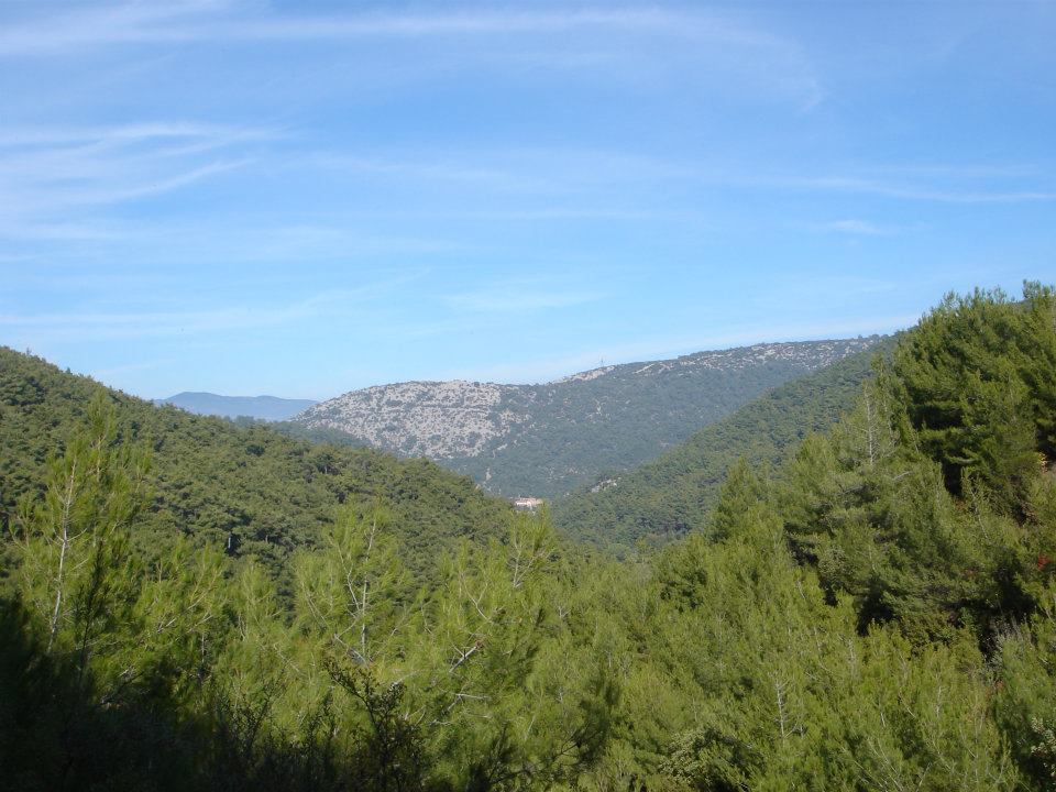 Ertan AÃƒÂƒÃ‚Â„ÃƒÂ‚Ã‚ÂŸabey'in Objektif 010.jpg