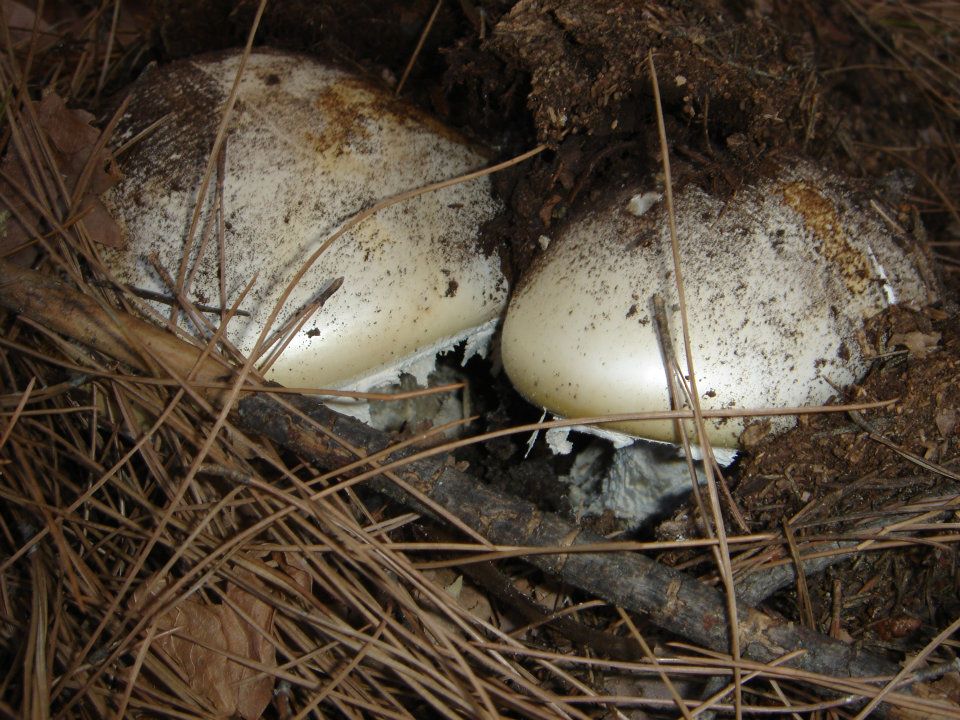 Ertan AÃƒÂƒÃ‚Â„ÃƒÂ‚Ã‚ÂŸabey'in Objektif 028.jpg