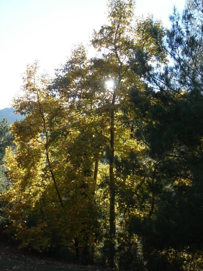 Ertan AÃƒÂƒÃ‚Â„ÃƒÂ‚Ã‚ÂŸabey'in Objektif 029.jpg