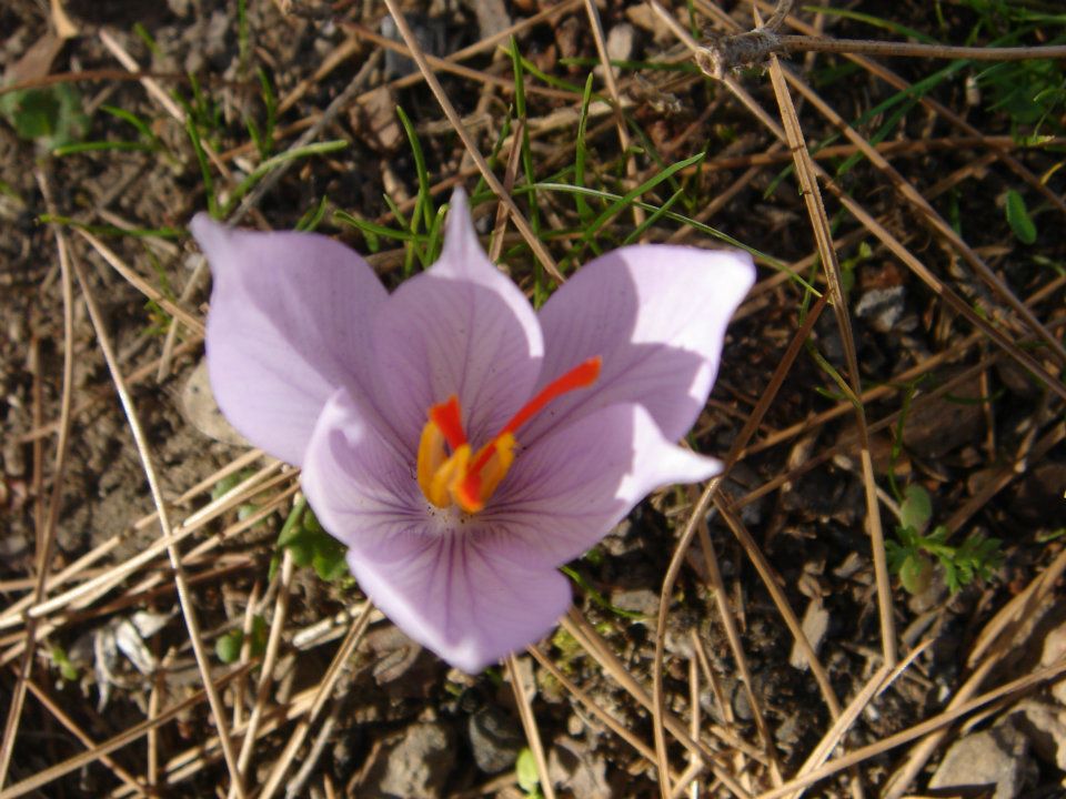 Ertan AÃƒÂƒÃ‚Â„ÃƒÂ‚Ã‚ÂŸabey'in Objektif 032.jpg