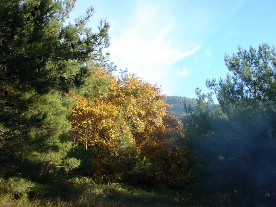 Ertan AÃƒÂƒÃ‚Â„ÃƒÂ‚Ã‚ÂŸabey'in Objektif 033.jpg