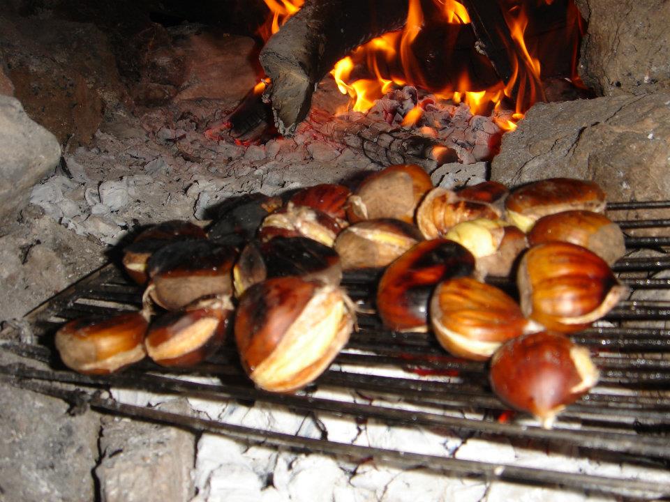 Ertan AÃƒÂƒÃ‚Â„ÃƒÂ‚Ã‚ÂŸabey'in Objektif 045.jpg