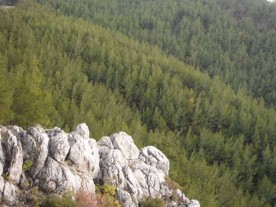 Ertan AÃƒÂƒÃ‚Â„ÃƒÂ‚Ã‚ÂŸabey'in Objektif 073.jpg