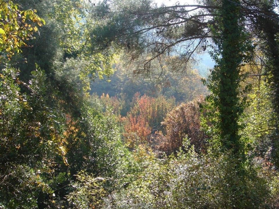 Ertan AÃƒÂƒÃ‚Â„ÃƒÂ‚Ã‚ÂŸabey'in Objektif 078.jpg