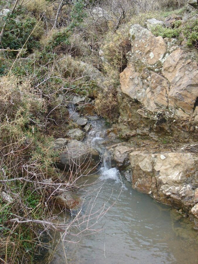 Ertan AÃƒÂƒÃ‚Â„ÃƒÂ‚Ã‚ÂŸabeyin Objektifen 009.jpg